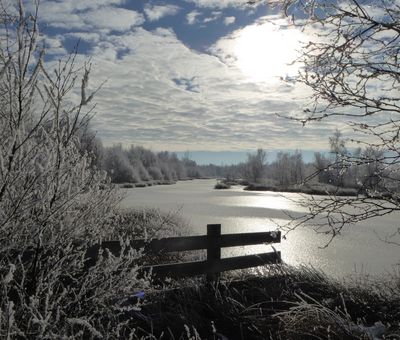 Winterlandschaft im Bargerveen