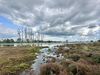 Hochmoorgebiet Bargerveen im Naturpark Bourtanger Moor - Veenland
